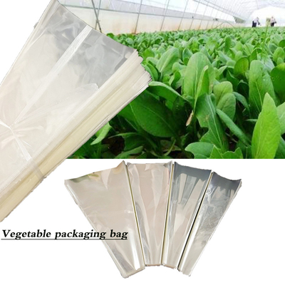 Plusieurs spécifications Sac d'emballage végétal personnalisé avec trous d'air