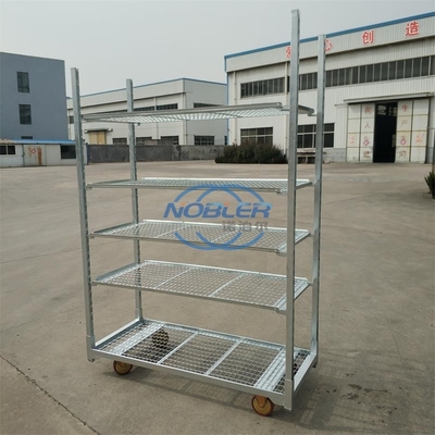 Plantation d'intérieur de fleur de Mesh Danish Trolley For Dutch en métal