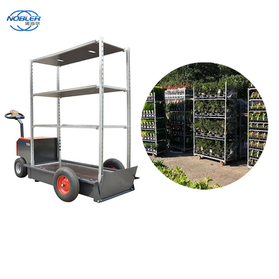 Container standard 1350 * 565 * 1900mm Chariot à fleurs en contreplaqué
