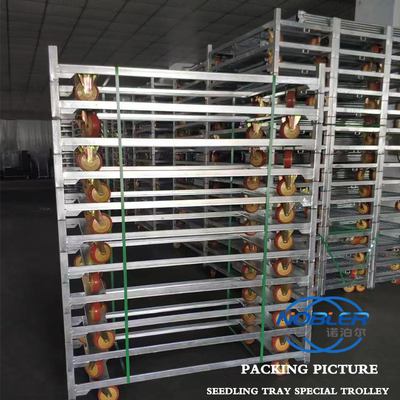 Distribution de fleurs Logistique Trolleys danois Conception flexible et professionnelle