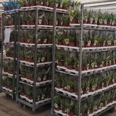 Serre à haute charge pour le chariot à fleurs danois en poudre revêtue