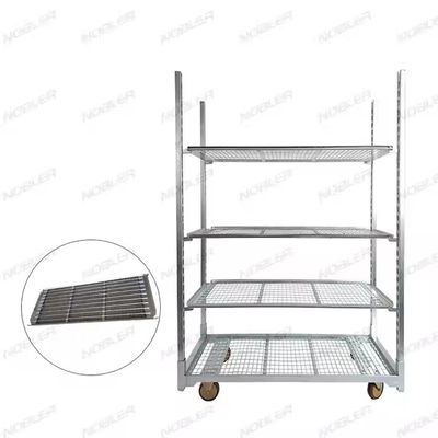 Load Capacity 200kg Dutch Flower Trolley Featuring 25cm Shelf Height and Heavy Duty PP Wheel Ideal for Flower Logistics