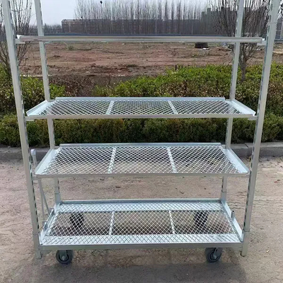 Galvanisation à chaud PP Caster 1350*565mm Chariot de fleurs pour plantation agricole Chariot de récolte en serre