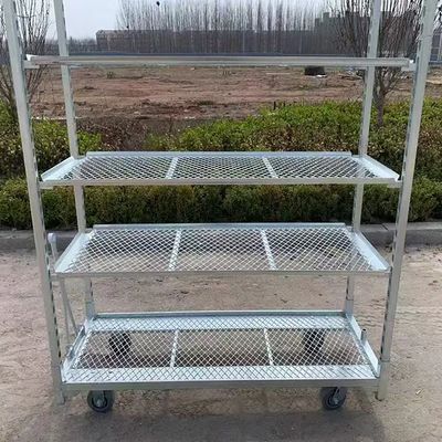 PP Wheel Dutch Flower Trolley Rust Resistant Offering 25cm Shelf Height Suitable for Professional Floral Transport Needs