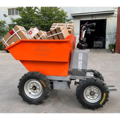 Pedal arrière pliable convivial 300 kg Mini camion électrique pour un fonctionnement pratique et économe en main-d'œuvre