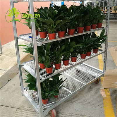 Galvanisation chaude de chariot danois à usine de chariot de jeune plante de cadre de fleur