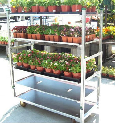 Galvanisation chaude de chariot danois à usine de chariot de jeune plante de cadre de fleur