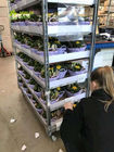 L'exclusivité en plastique de supermarché d'étagère de chariot de fleur de chariot danois à main utilisent les chariots adaptés aux besoins du client