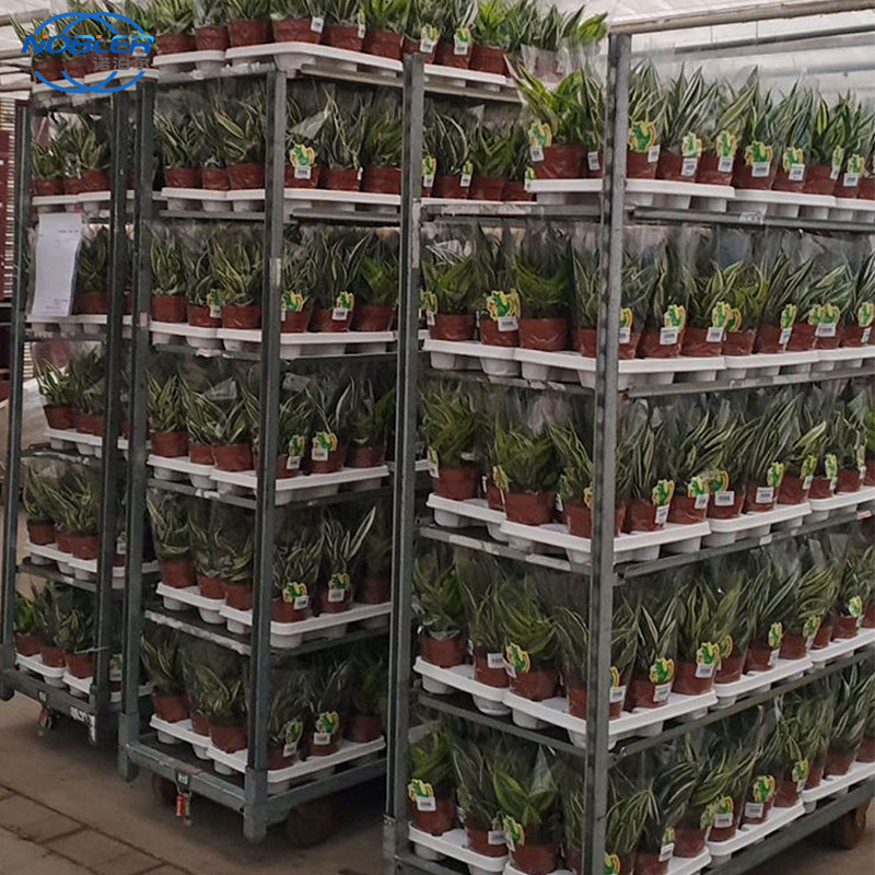 L'exclusivité en plastique de supermarché d'étagère de chariot de fleur de chariot danois à main utilisent les chariots adaptés aux besoins du client