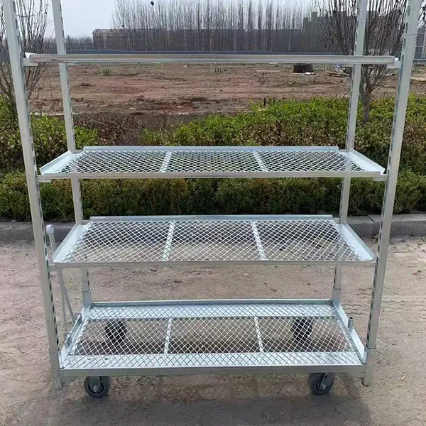 Galvanisation à chaud PP Caster 1350*565mm Chariot de fleurs pour plantation agricole Chariot de récolte en serre