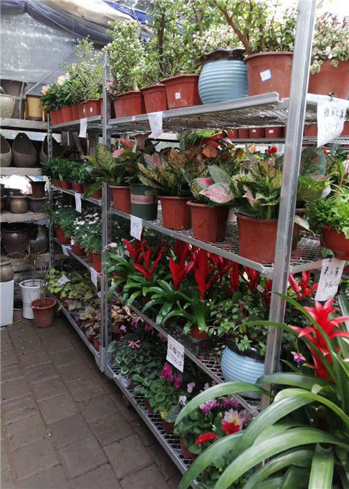 Étagère de supermarché danois de 3 étages avec poste de 1,8x1800 mm et 4 rouleaux pivotants
